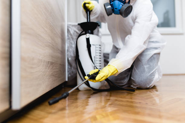Best Emergency Pest Control  in Bort, GA