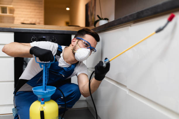 Best Bed Bug Extermination  in Bort, GA
