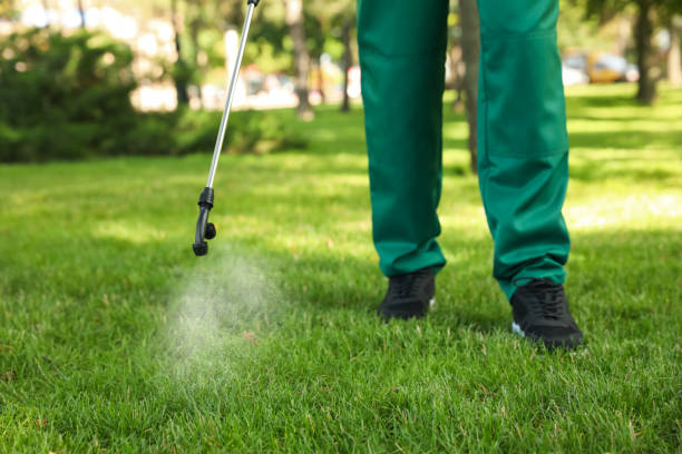 Best Wasp Removal Services  in Bort, GA