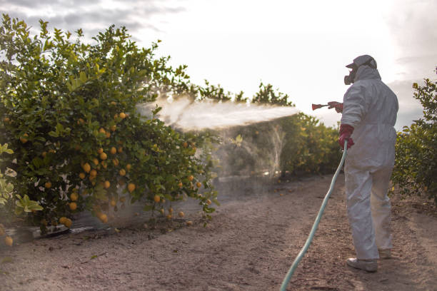 Best Pest Prevention Services  in Bort, GA