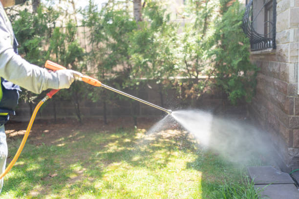 Best Cockroach Control Services  in Bort, GA
