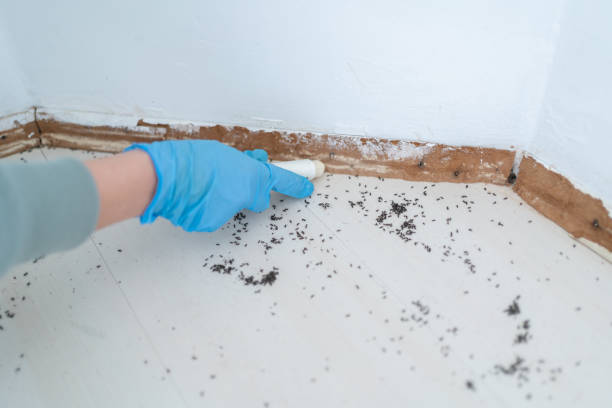 Best Best Pest Control Companies  in Bort, GA