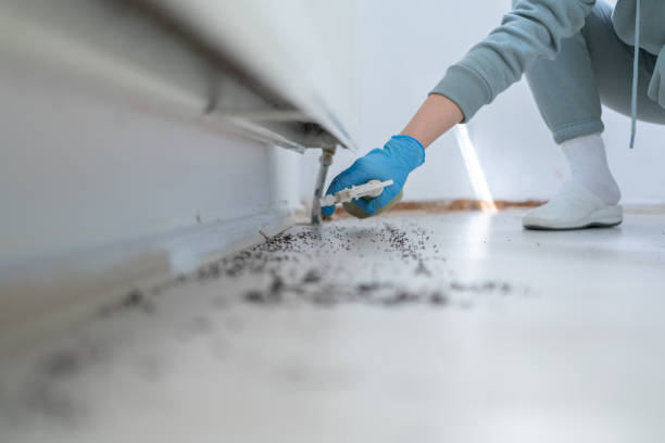  Bort, GA Pest Control Pros